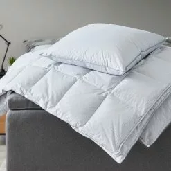 JYSK Kudde 550g FALKETIND 50x60 -Sovrum Rea 129378