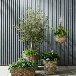 Trädgårdskruka SANSEBIE Ø40/50 2 St/set -Sovrum Rea 149781