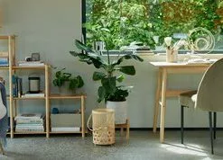 Matstol VASBY Sammet Oliv/svart -Sovrum Rea 166746 1