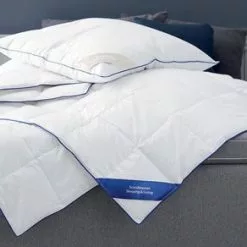 JYSK Kudde 650g GALDEBERGET 50x60 -Sovrum Rea 172340