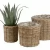 Trädgårdskruka SANSEBIE Ø25/33/40 3/st