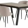SKOVLUNDE L160 Bord Mörk Ek + 4 RISSKOV Stol Ljusgrå
