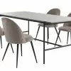 TERSLEV L200 Bord + 4 KOKKEDAL Stol Sammet Grå
