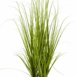 Konstväxt MARKUSFLUE H150cm Gräs