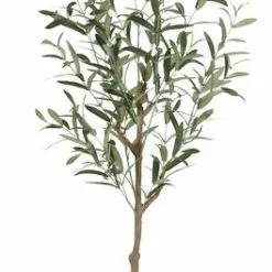 Konstväxt HAVHEST H125cm Olive