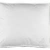 Høie Kudde 1000g Hoie DOWNFEEL 50x60x10 1 Høie Kudde 1000g Hoie DOWNFEEL 50x60x10 -Sovrum Rea 81534