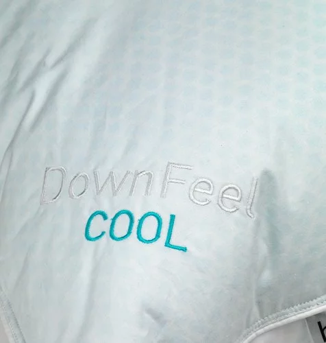 Høie Kudde 790g Hoie DOWNFEEL Sval 50x60 4 Høie Kudde 790g Hoie DOWNFEEL Sval 50x60 - Bild 2