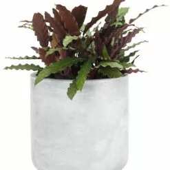 Trädgårdskruka FLUGA Ø33xH32 Grå